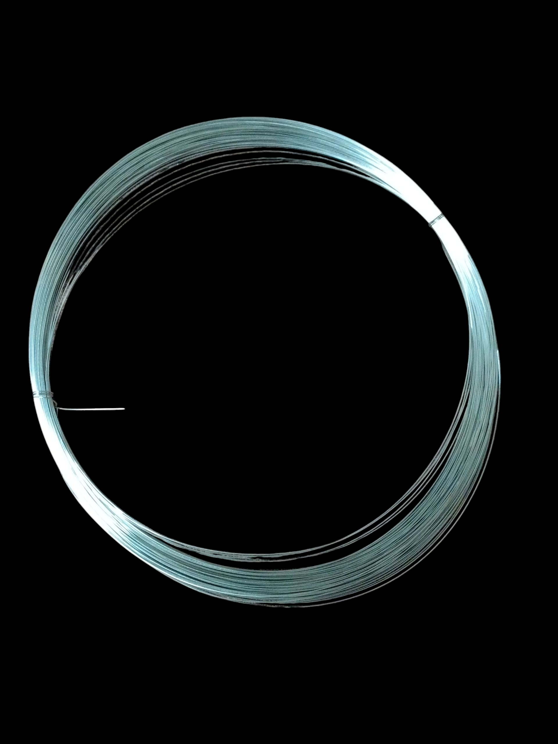790g Coil 1mm Stainless Steel Wire